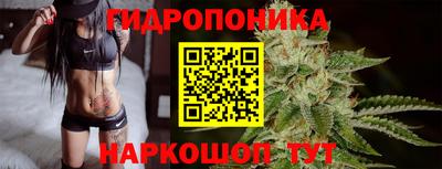 стаф Кунгур