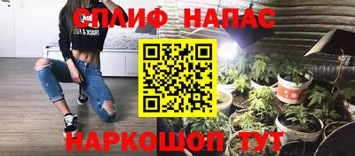стаф Кунгур