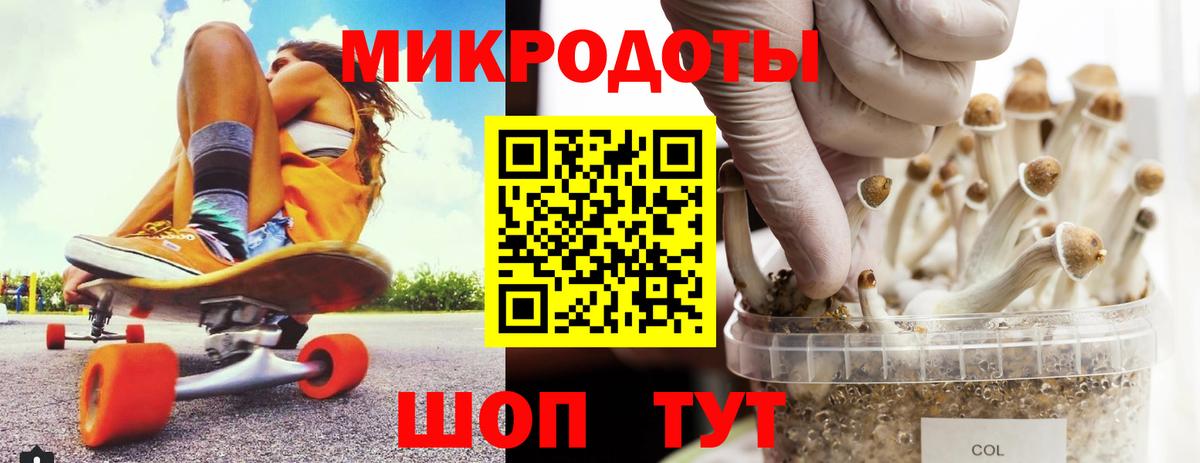 Псилоцибиновые грибы прущие грибы Камышлов