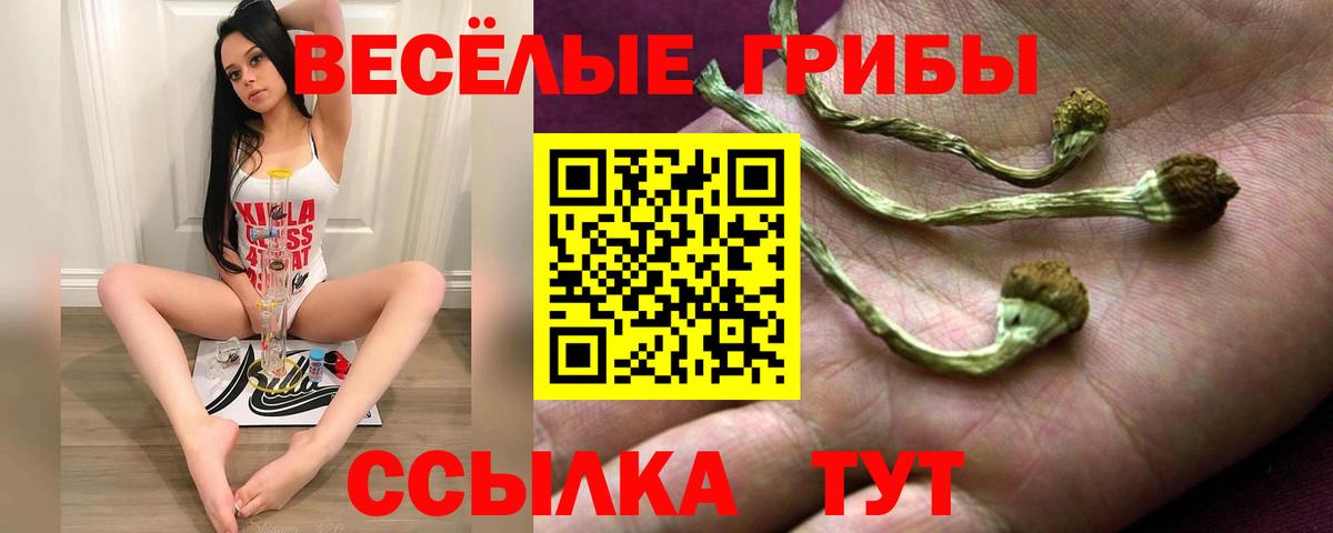 Псилоцибиновые грибы мухоморы  Псилоцибиновые грибы Psilocybine cubensis  Вход с VPN  Камышлов 